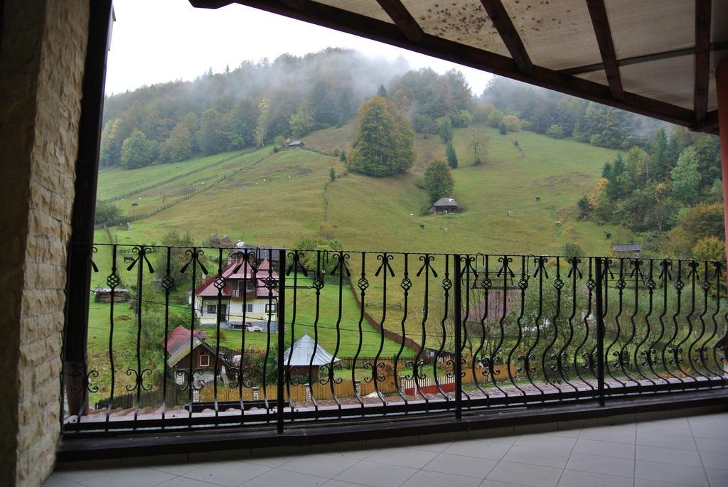 Pensiune Restaurant Piatra Craiului Dimbovicioara Exterior photo
